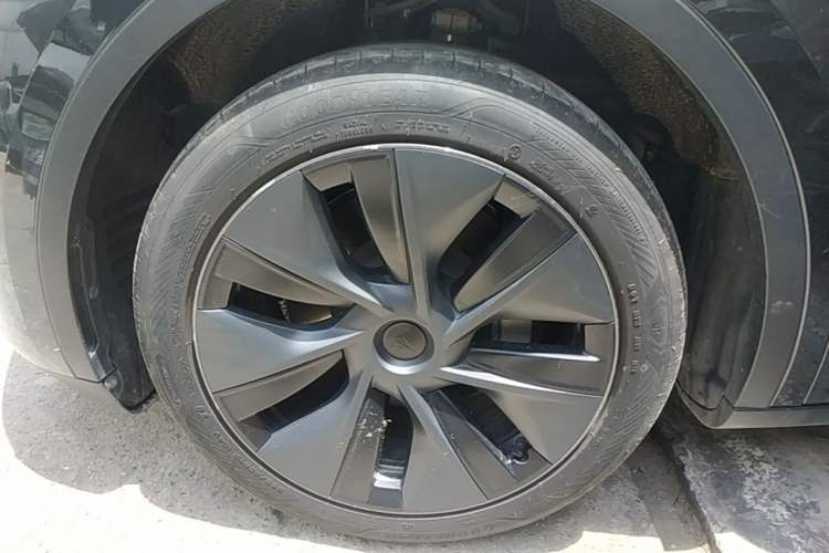 Used Tesla Model Y 2024 Rear-Wheel-Drive Version Exterior 4