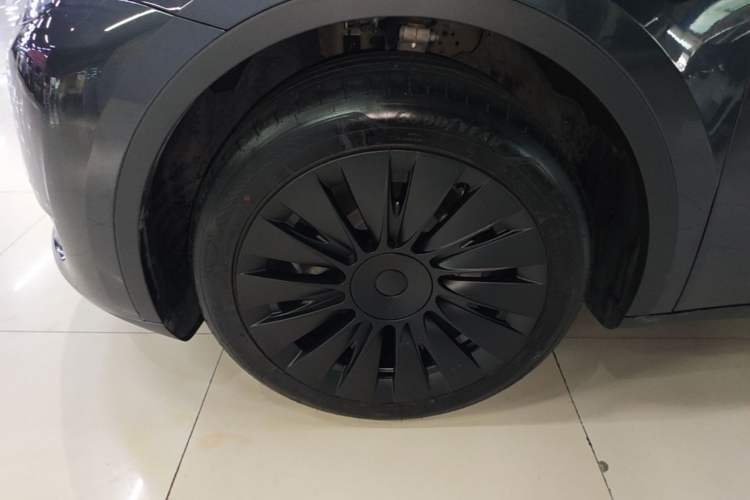 Used Tesla Model Y 2024 Rear-Wheel-Drive Version Exterior 4