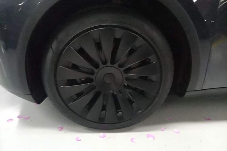 Used Tesla Model Y 2024 Rear-Wheel-Drive Version Exterior 4