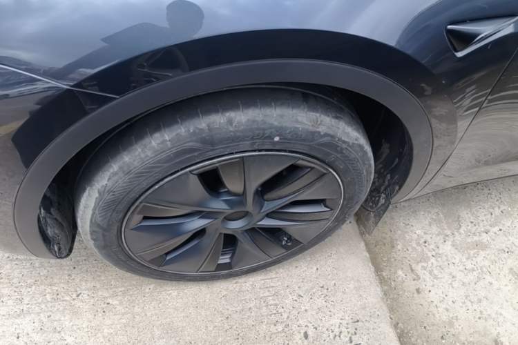 Used Tesla Model Y 2024 Rear-Wheel-Drive Version Exterior 4