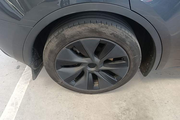 Used Tesla Model Y 2024 Rear-Wheel-Drive Version Exterior 5
