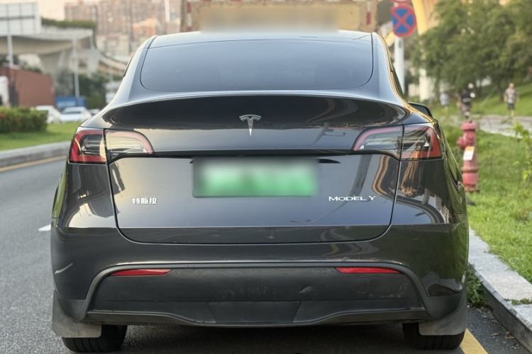 Used Tesla Model Y 2024 Long-Range All-Wheel-Drive Version Exterior 5