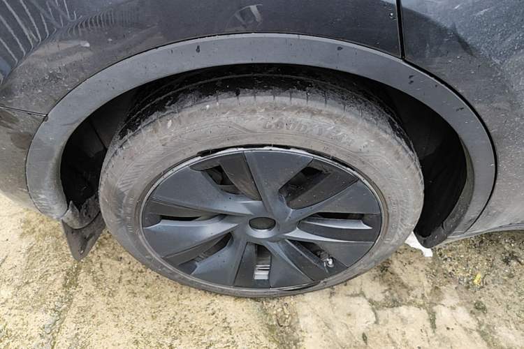 Used Tesla Model Y 2024 Rear-Wheel-Drive Version Exterior 5