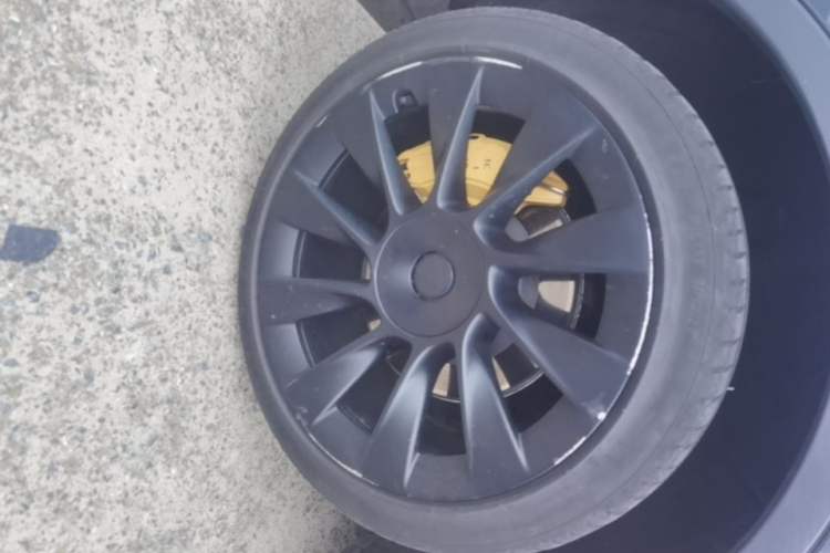 Used Tesla Model Y 2024 Rear-Wheel-Drive Version Exterior 5