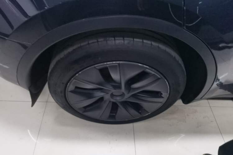 Used Tesla Model Y 2024 Rear-Wheel-Drive Version Exterior 5