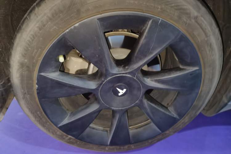 Used Tesla Model Y 2024 Rear-Wheel-Drive Version Exterior 5