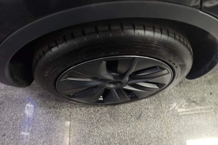 Used Tesla Model Y 2024 Rear-Wheel-Drive Version Exterior 5