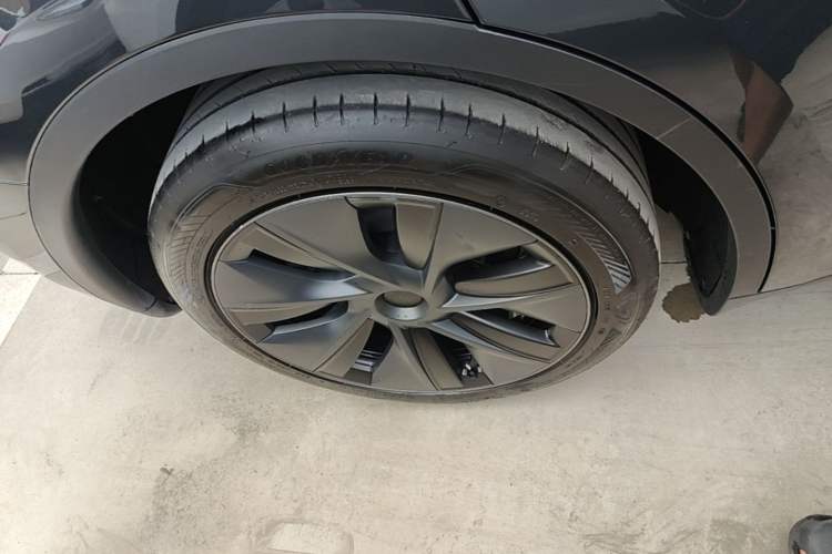 Used Tesla Model Y 2024 Rear-Wheel-Drive Version Exterior 5