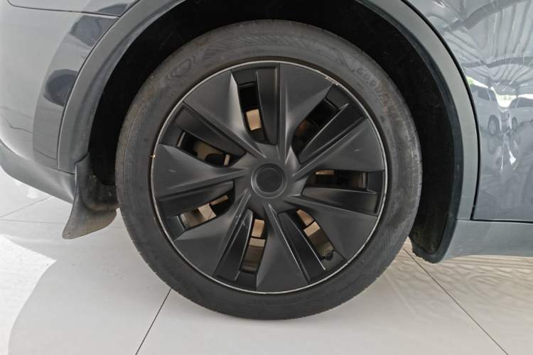 Used Tesla Model Y 2024 Rear-Wheel-Drive Version Exterior 5