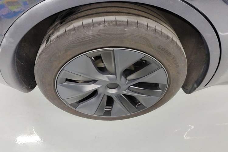 Used Tesla Model Y 2024 Rear-Wheel-Drive Version Exterior 5