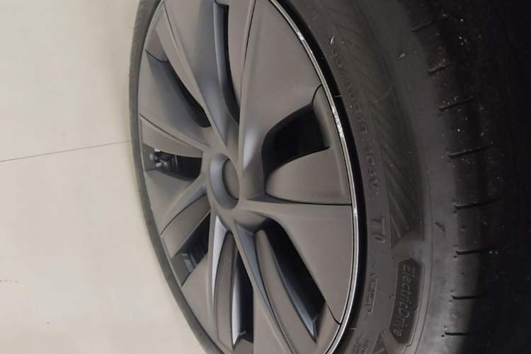 Used Tesla Model Y 2024 Rear-Wheel-Drive Version Exterior 5