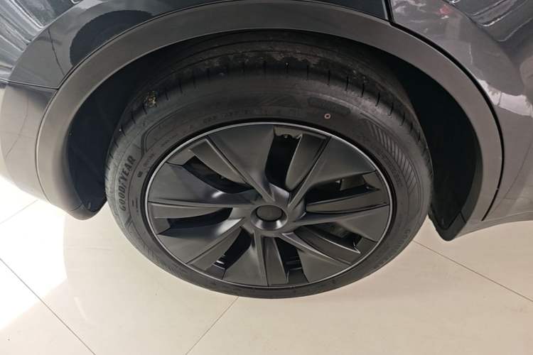 Used Tesla Model Y 2024 Rear-Wheel-Drive Version Exterior 5