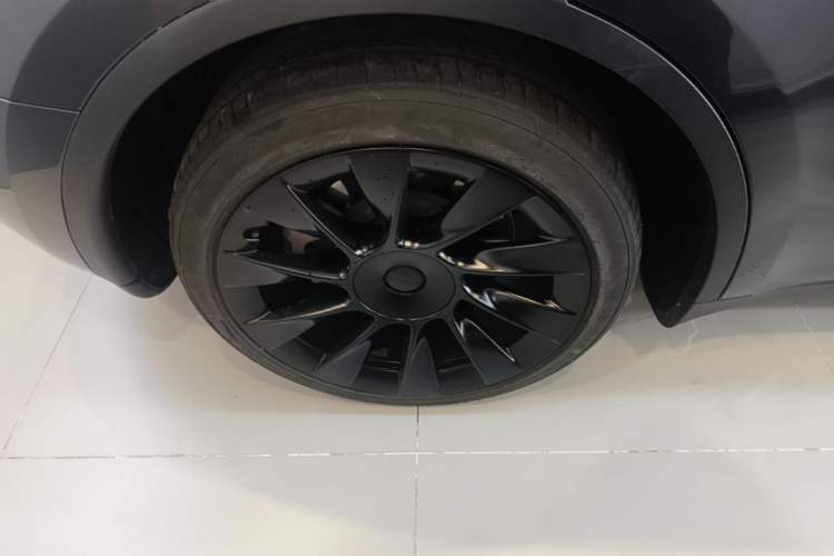 Used Tesla Model Y 2024 Long-Range All-Wheel-Drive Version Exterior 5