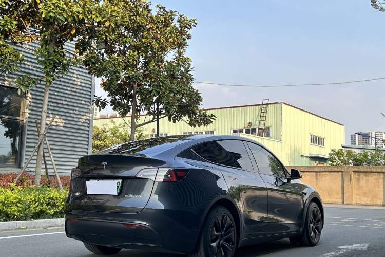 Used Tesla Model Y 2024 Rear-Wheel-Drive Version Exterior 5