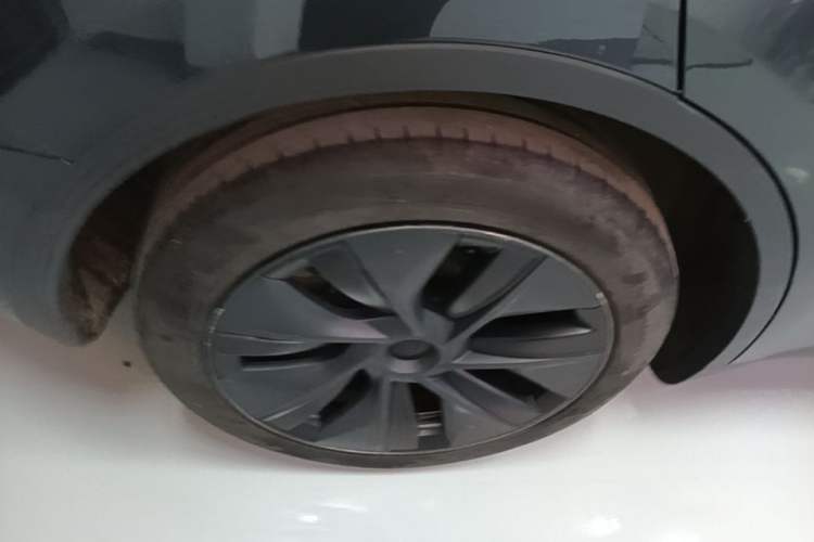 Used Tesla Model Y 2024 Rear-Wheel-Drive Version Exterior 5