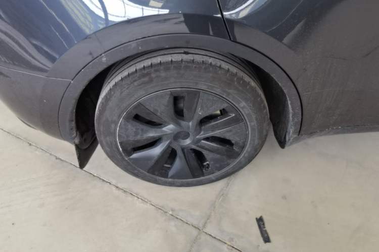 Used Tesla Model Y 2024 Rear-Wheel-Drive Version Exterior 5