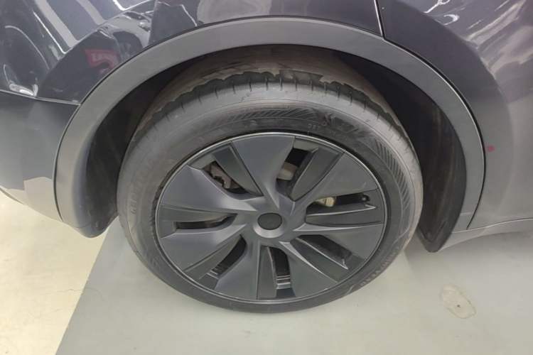 Used Tesla Model Y 2024 Rear-Wheel-Drive Version Exterior 5