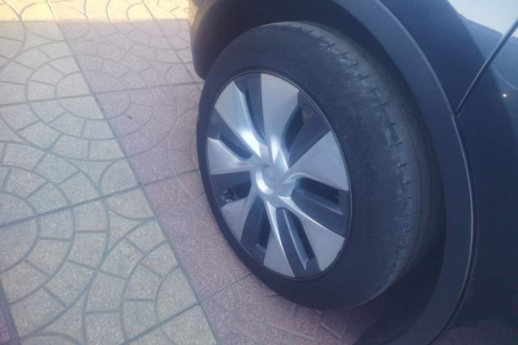 Used Tesla Model Y 2024 Rear-Wheel-Drive Version Exterior 5