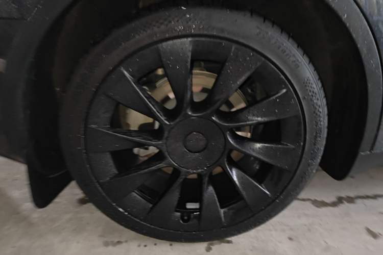 Used Tesla Model Y 2024 Rear-Wheel-Drive Version Exterior 5