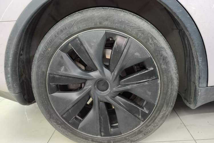 Used Tesla Model Y 2024 Rear-Wheel-Drive Version Exterior 5
