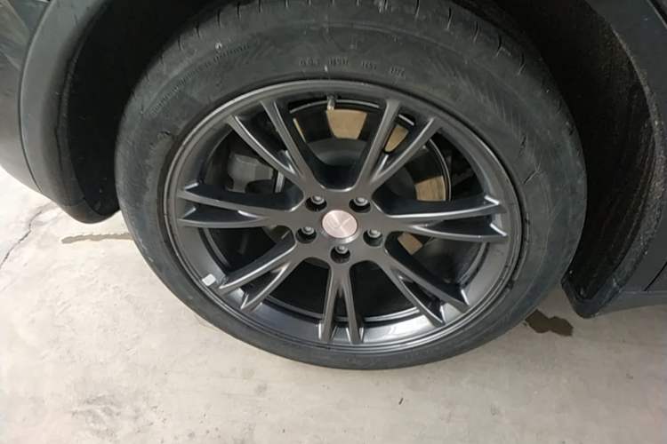Used Tesla Model Y 2024 Rear-Wheel-Drive Version Exterior 5