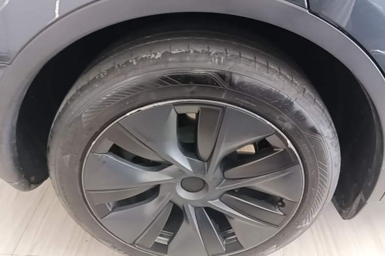 Used Tesla Model Y 2024 Rear-Wheel-Drive Version Exterior 5