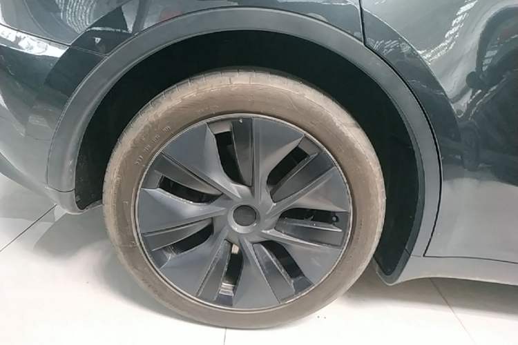 Used Tesla Model Y 2024 Rear-Wheel-Drive Version Exterior 5