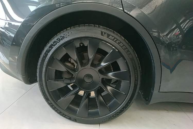 Used Tesla Model Y 2024 Rear-Wheel-Drive Version Exterior 5