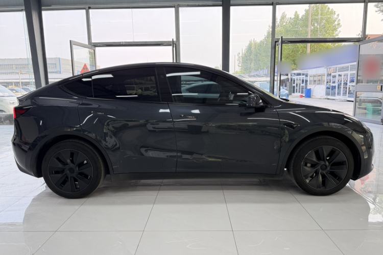 Used Tesla Model Y 2024 Rear-Wheel-Drive Version Exterior 5