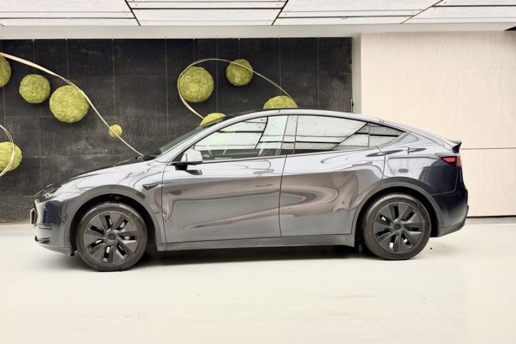 Used Tesla Model Y 2024 Rear-Wheel-Drive Version Exterior 5