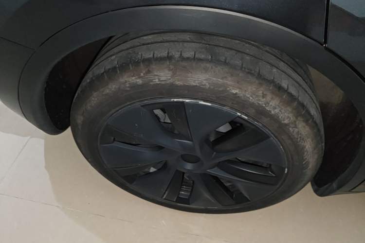 Used Tesla Model Y 2024 Rear-Wheel-Drive Version Exterior 5