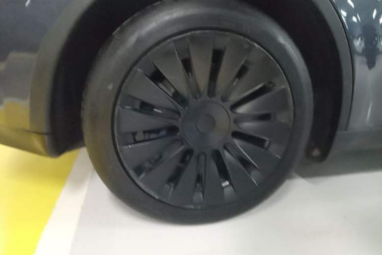 Used Tesla Model Y 2024 Rear-Wheel-Drive Version Exterior 5
