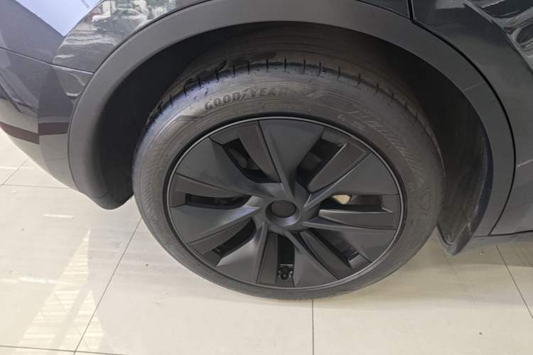 Used Tesla Model Y 2024 Rear-Wheel-Drive Version Exterior 5