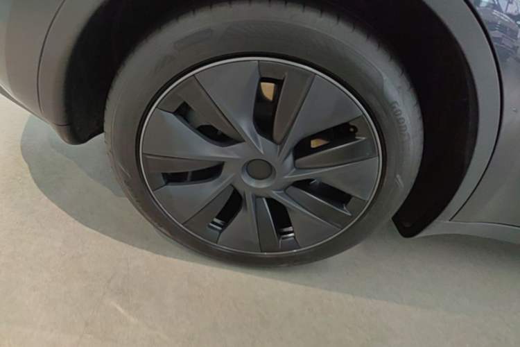 Used Tesla Model Y 2024 Rear-Wheel-Drive Version Exterior 5
