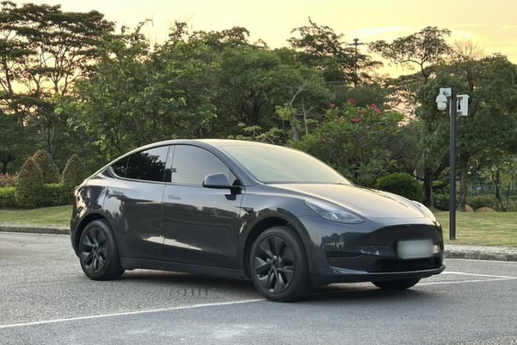 Used Tesla Model Y 2024 Rear-Wheel-Drive Version Exterior 5