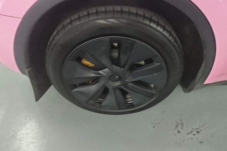 Used Tesla Model Y 2024 Rear-Wheel-Drive Version Exterior 5