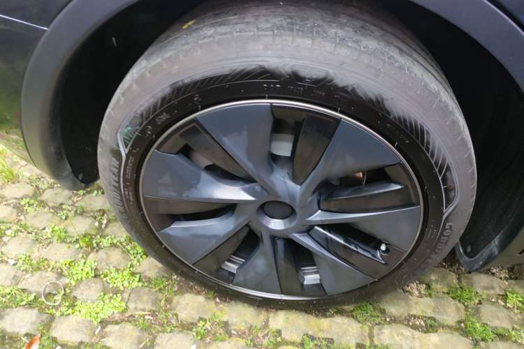 Used Tesla Model Y 2024 Rear-Wheel-Drive Version Exterior 5