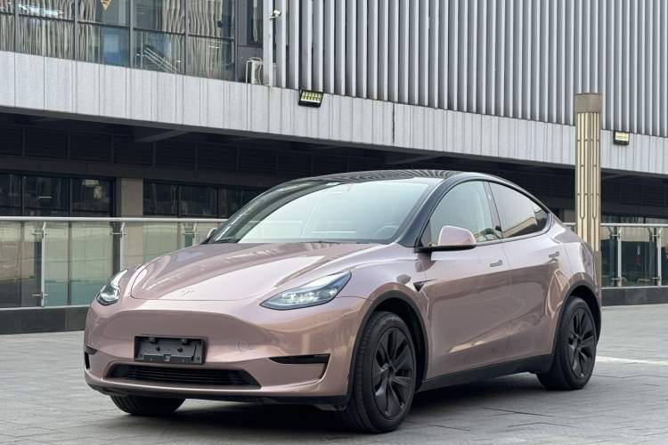 Used Tesla Model Y 2024 Rear-Wheel-Drive Version Exterior 6
