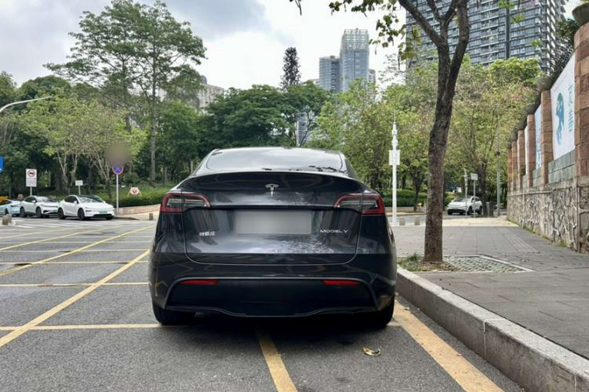 Used Tesla Model Y 2024 Rear-Wheel-Drive Version Exterior 6