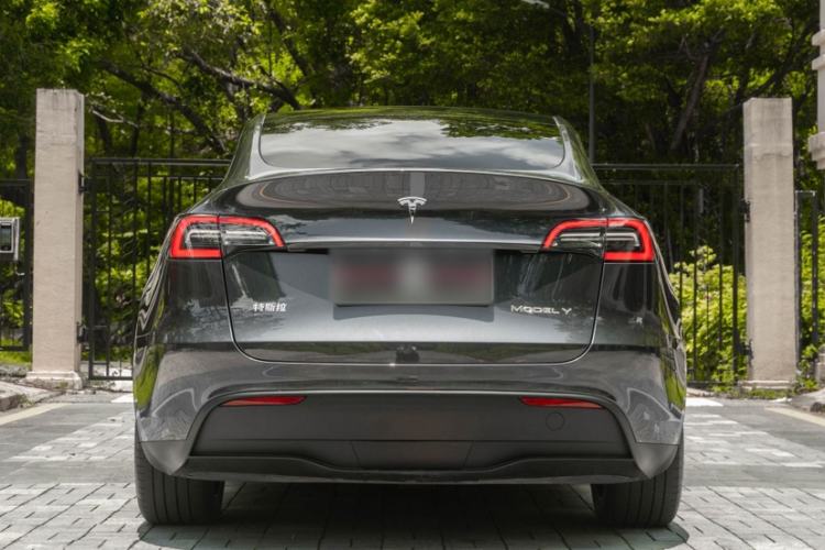 Used Tesla Model Y 2024 Rear-Wheel-Drive Version Exterior 6