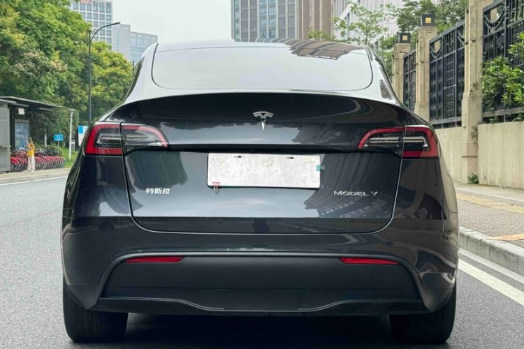 Used Tesla Model Y 2024 Rear-Wheel-Drive Version Exterior 6