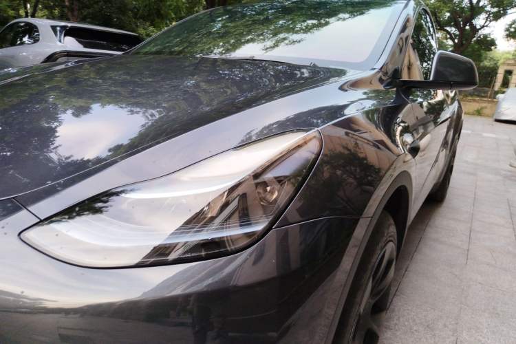 Used Tesla Model Y 2024 Rear-Wheel-Drive Version Exterior 6