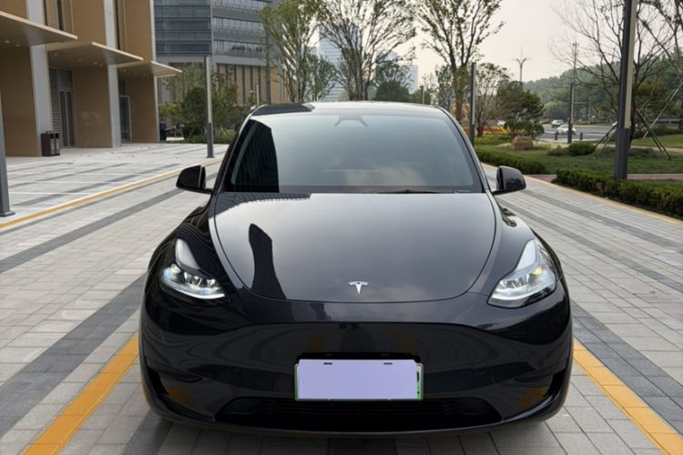 Used Tesla Model Y 2024 Rear-Wheel-Drive Version Exterior 6