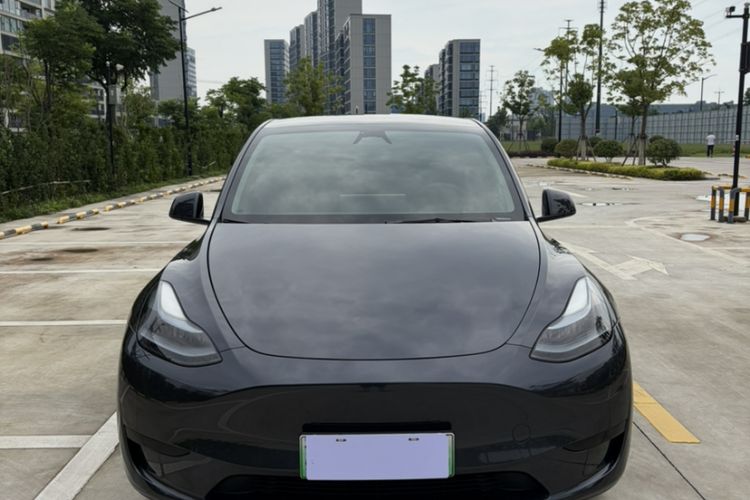 Used Tesla Model Y 2024 Rear-Wheel-Drive Version Exterior 6