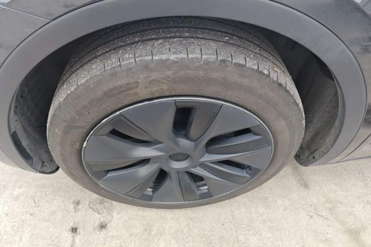 Used Tesla Model Y 2024 Rear-Wheel-Drive Version Exterior 7