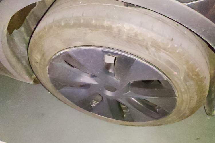 Used Tesla Model Y 2024 Rear-Wheel-Drive Version Exterior 7