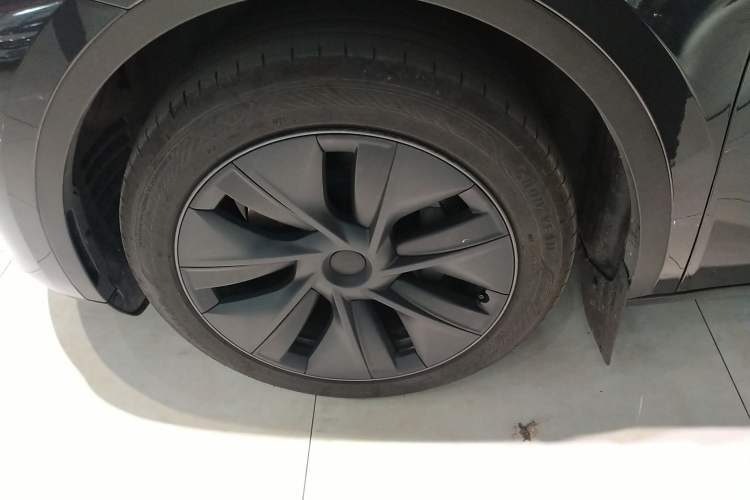 Used Tesla Model Y 2024 Rear-Wheel-Drive Version Exterior 7