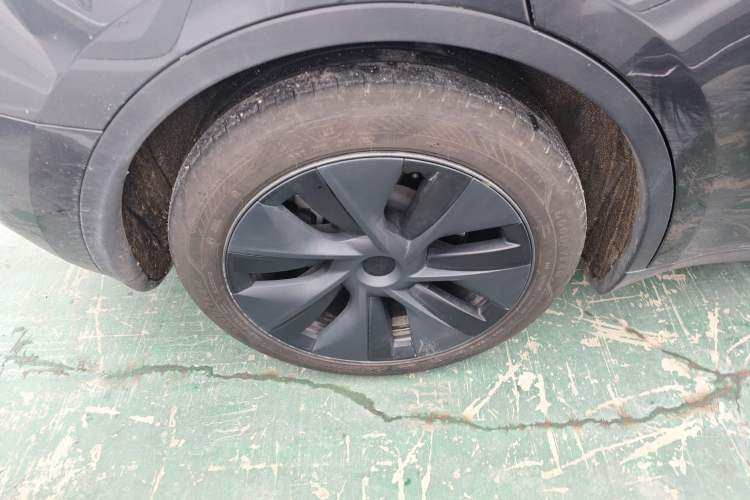 Used Tesla Model Y 2024 Rear-Wheel-Drive Version Exterior 8
