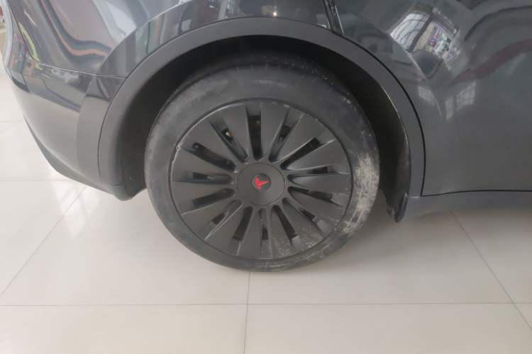 Used Tesla Model Y 2024 Rear-Wheel-Drive Version Exterior 8