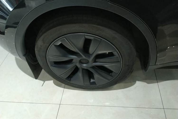 Used Tesla Model Y 2024 Rear-Wheel-Drive Version Exterior 8
